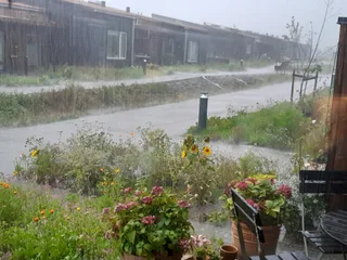 Seniorboliger Bellinge Fælled, foto 1