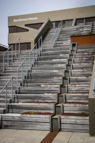 Resilience House, foto 2