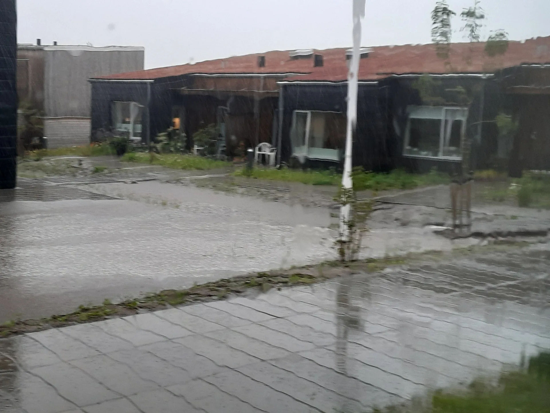 Seniorboliger Bellinge Fælled, foto 3