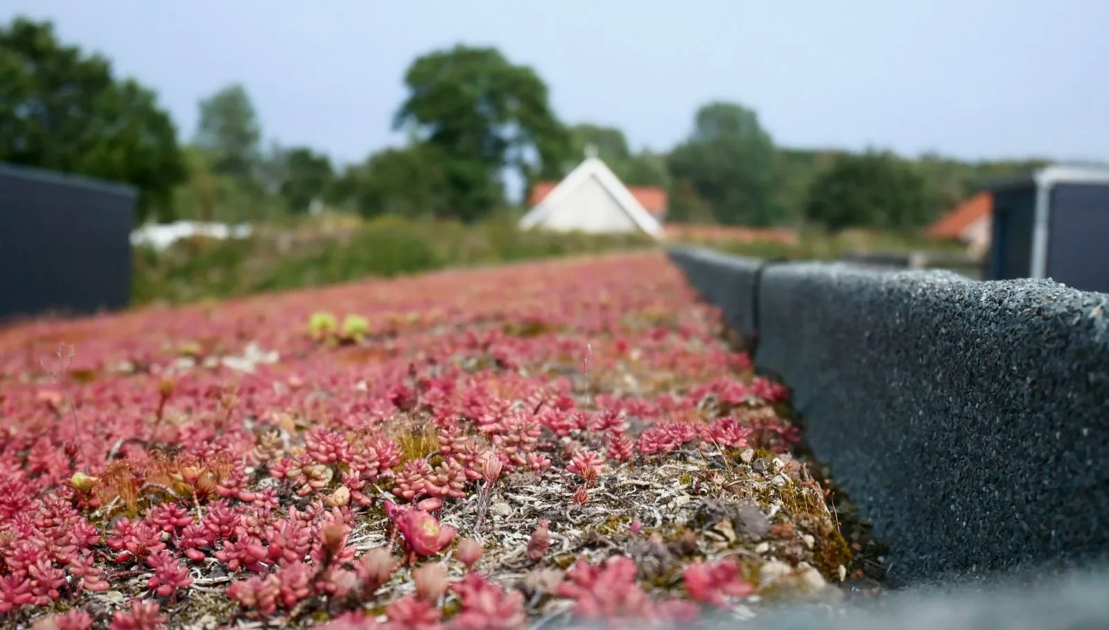 12 plejeboliger Farupvej i Ribe, foto 3