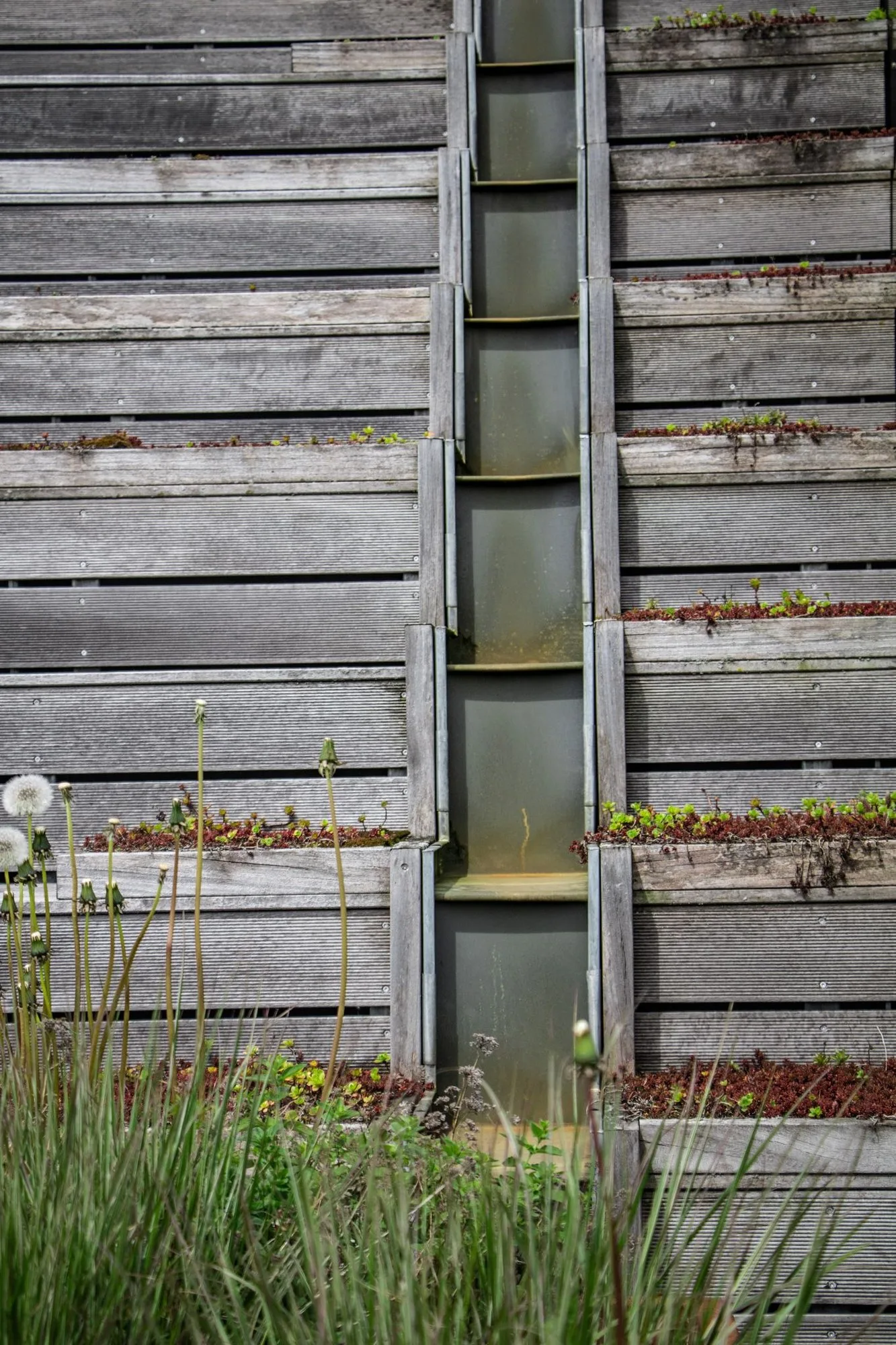 Resilience House, foto 5