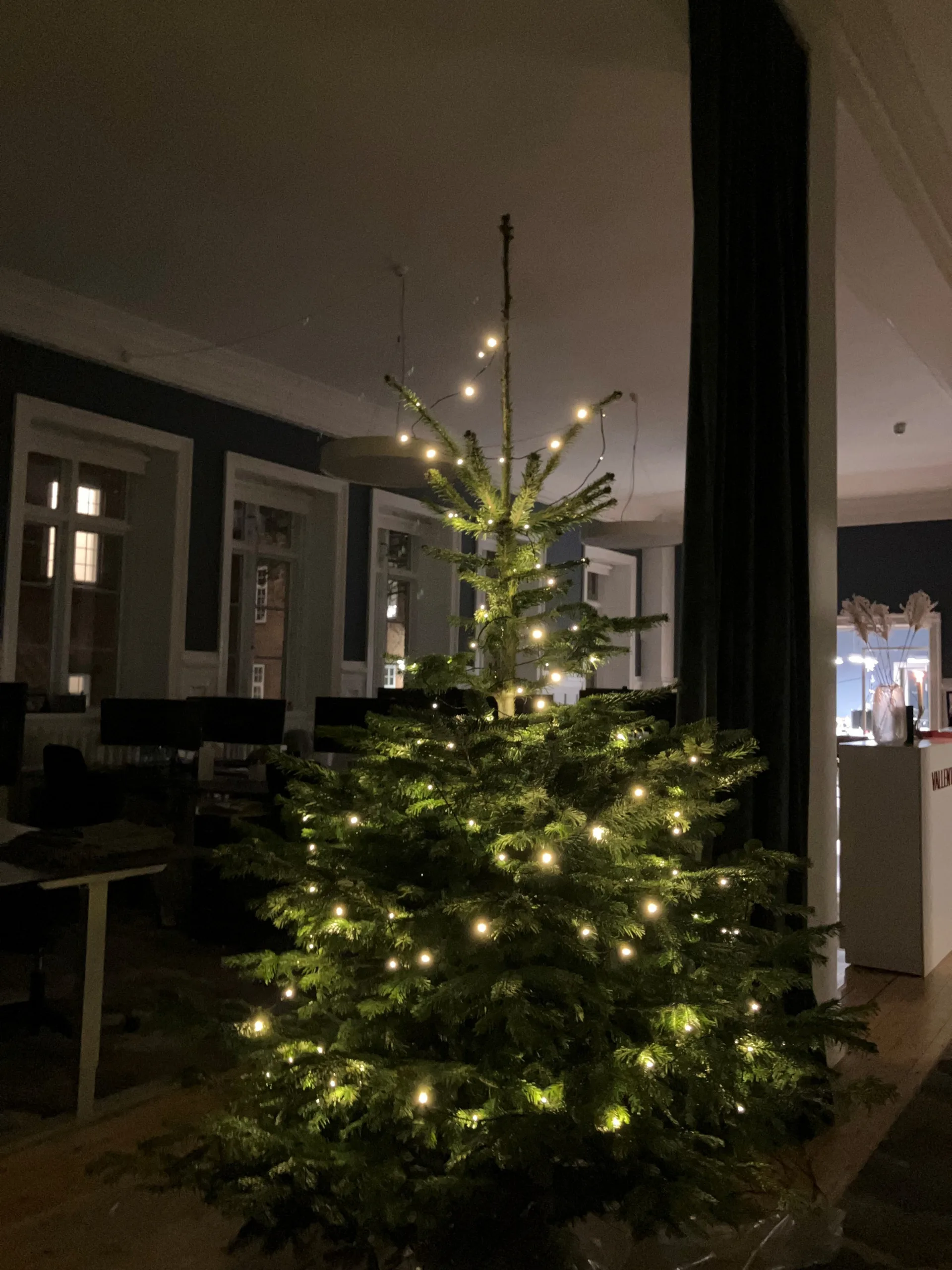 Et pyntet juletræ på tegnestuen i Det Gamle Rådhus